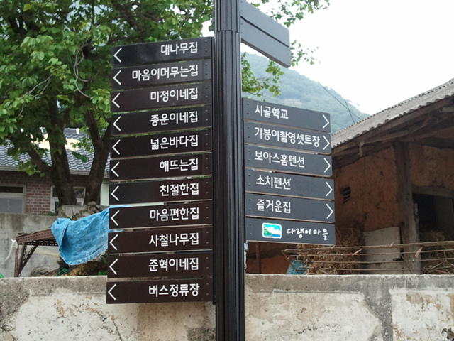 ysi2_1306676763032599600.jpg